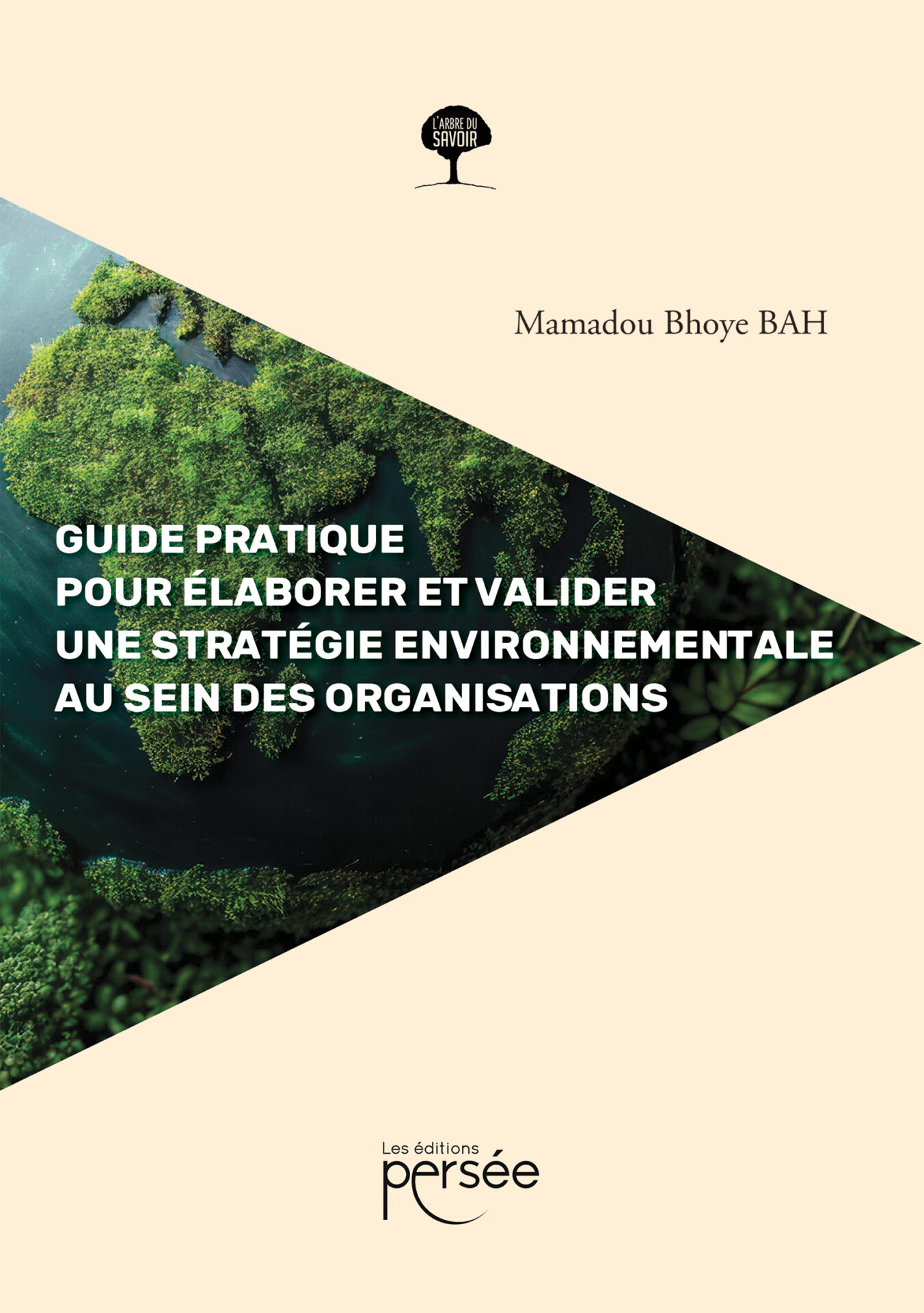 Guide pratique pour élaborer et valider une stratégie environnementale au sein des organisations